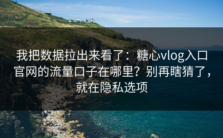 我把数据拉出来看了：糖心vlog入口官网的流量口子在哪里？别再瞎猜了，就在隐私选项