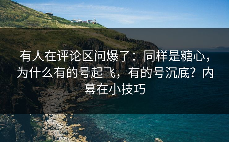 有人在评论区问爆了：同样是糖心，为什么有的号起飞，有的号沉底？内幕在小技巧