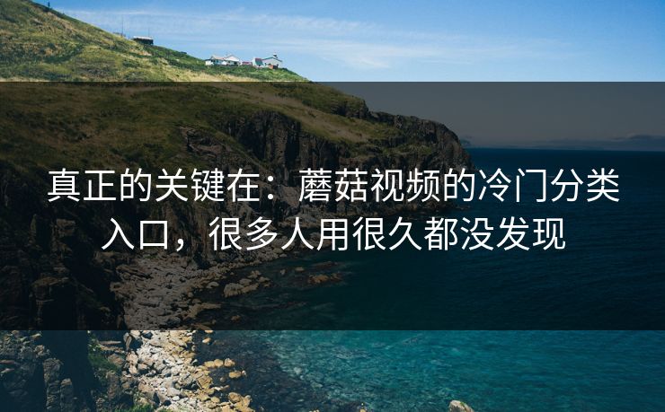 真正的关键在：蘑菇视频的冷门分类入口，很多人用很久都没发现