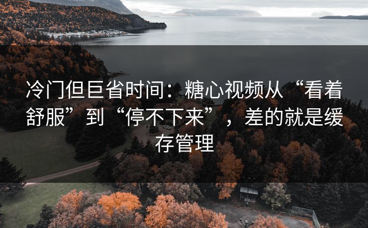 冷门但巨省时间：糖心视频从“看着舒服”到“停不下来”，差的就是缓存管理