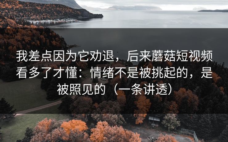 我差点因为它劝退，后来蘑菇短视频看多了才懂：情绪不是被挑起的，是被照见的（一条讲透）