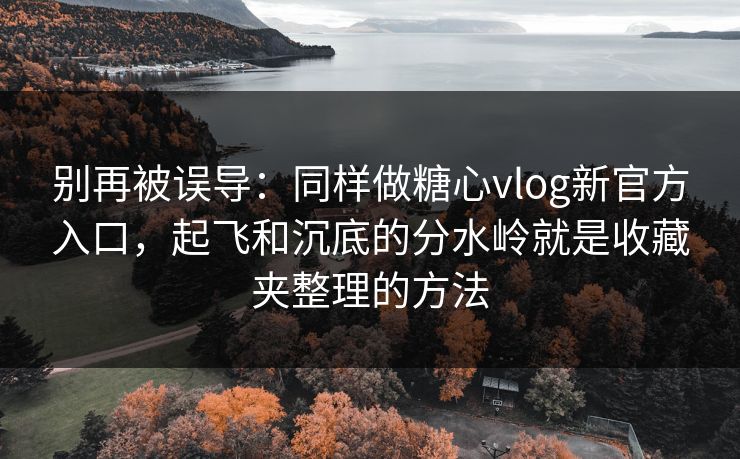 别再被误导：同样做糖心vlog新官方入口，起飞和沉底的分水岭就是收藏夹整理的方法