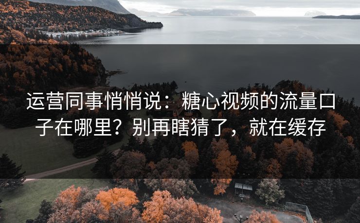 运营同事悄悄说：糖心视频的流量口子在哪里？别再瞎猜了，就在缓存